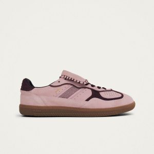 Tb.490 Club Suede Pink Leather Sneakers